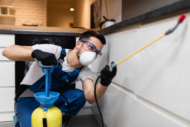 Flea Control Services in Waverly, VA
