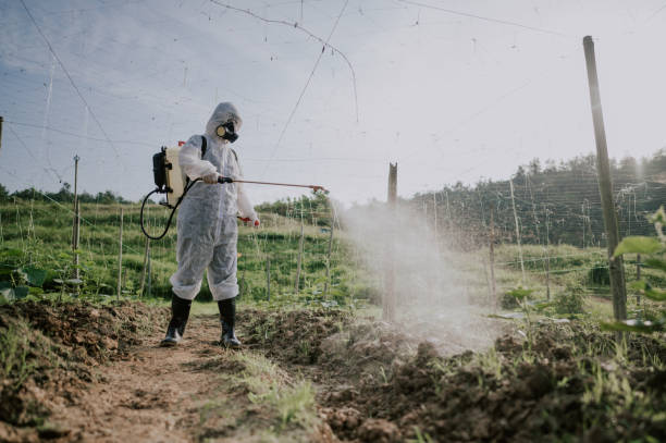 Best Best Pest Control Companies  in Waverly, VA