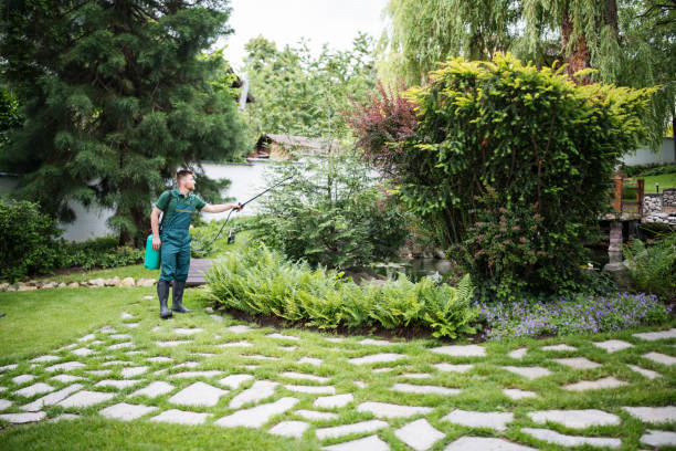 Best Affordable Pest Control Services  in Waverly, VA