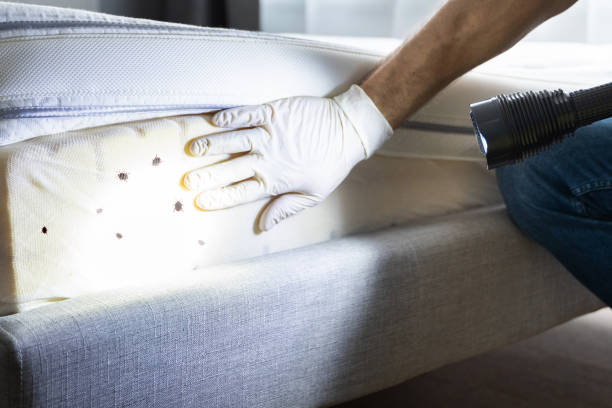 Pest Prevention Services in Waverly, VA