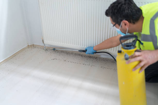 Best Termite Control Services  in Waverly, VA